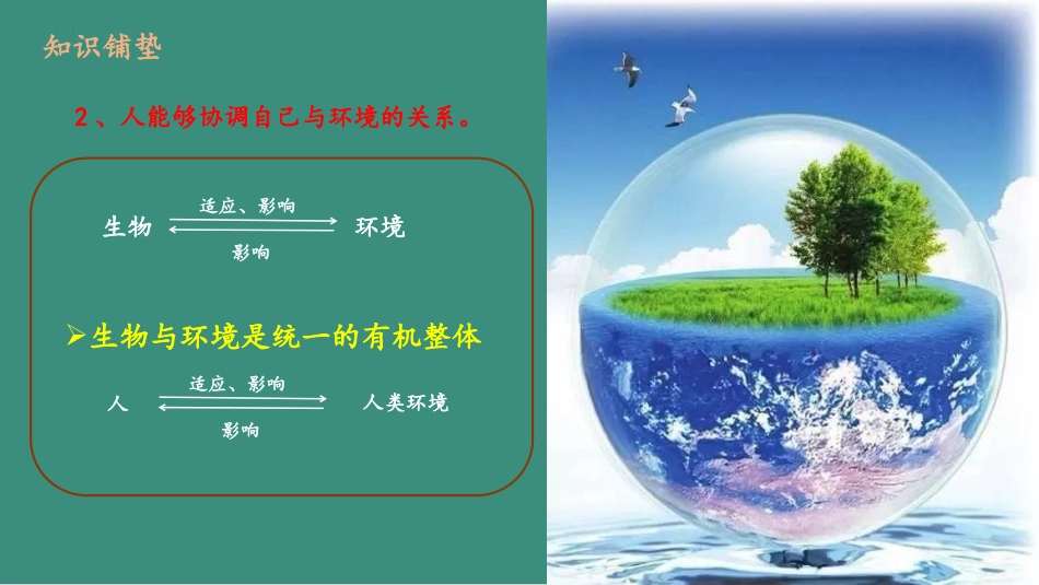 《神经系统与神经调节》PPT教学课件[北师大版七年级生物]_第3页