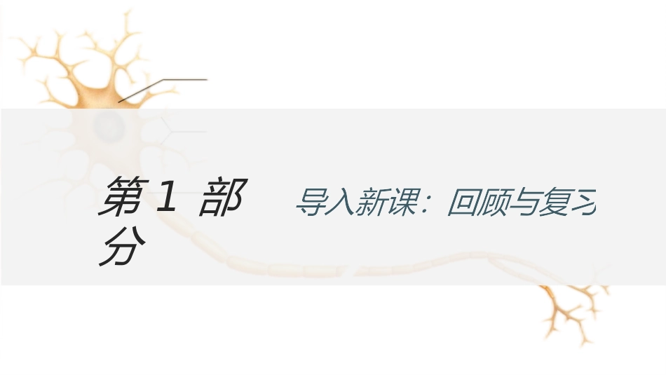 《神经系统与神经调节》PPT课件[北师大版七年级生物下册]_第3页