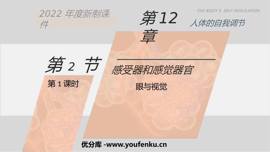《感受器和感觉器官》PPT课件(第1课时)[北师大版七年级生物]_第1页