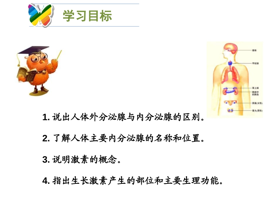 《激素调节》PPT免费课件[北师大版七年级生物下册]_第2页