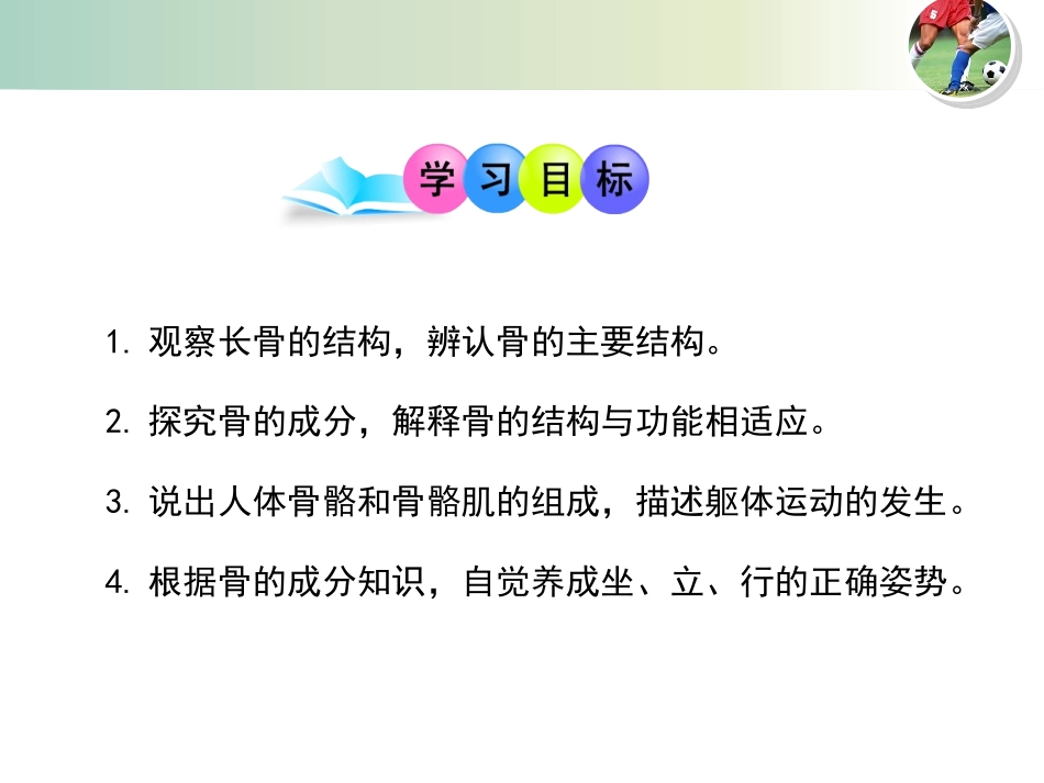 《动物运动的形成》PPT(第1课时)PPT课件_第2页