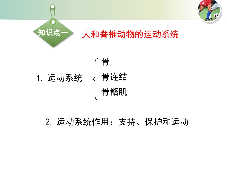 《动物运动的形成》PPT(第1课时)PPT课件_第3页
