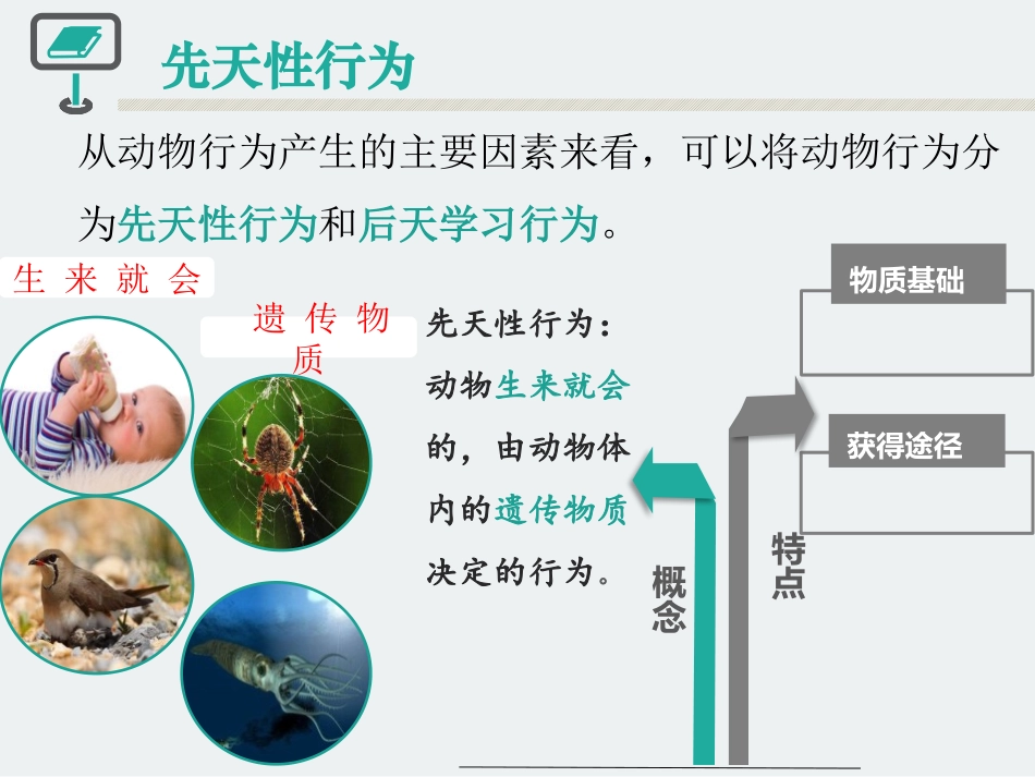 《先天性行为和后天学习行为》PPT精品课件[北师大版八年级生物]_第3页