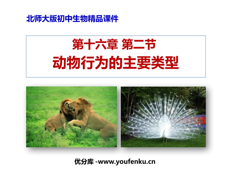 《动物行为的主要类型》PPT免费课件[北师大版八年级生物]_第1页