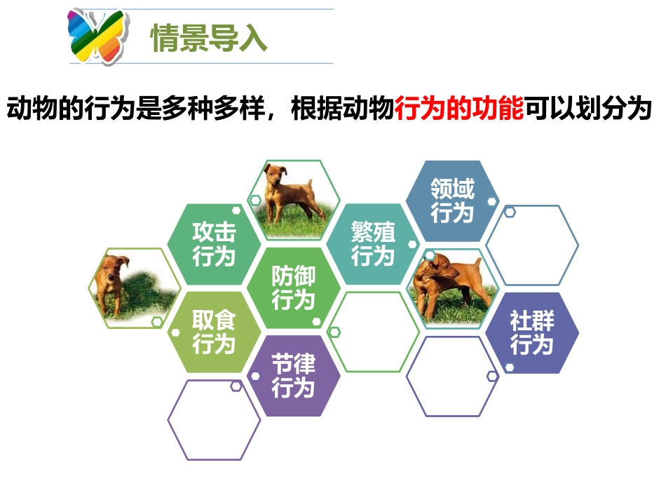 《动物行为的主要类型》PPT免费课件[北师大版八年级生物]_第2页