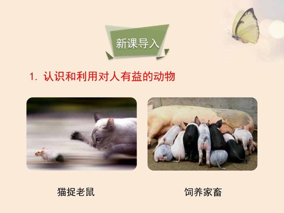 《动物行为的研究》PPT免费课件(第1课时)[北师大版八年级生物]_第3页