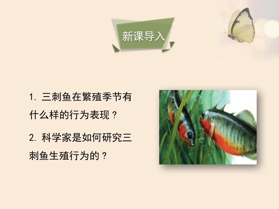 《动物行为的研究》PPT免费课件(第2课时)[北师大版八年级生物]_第3页