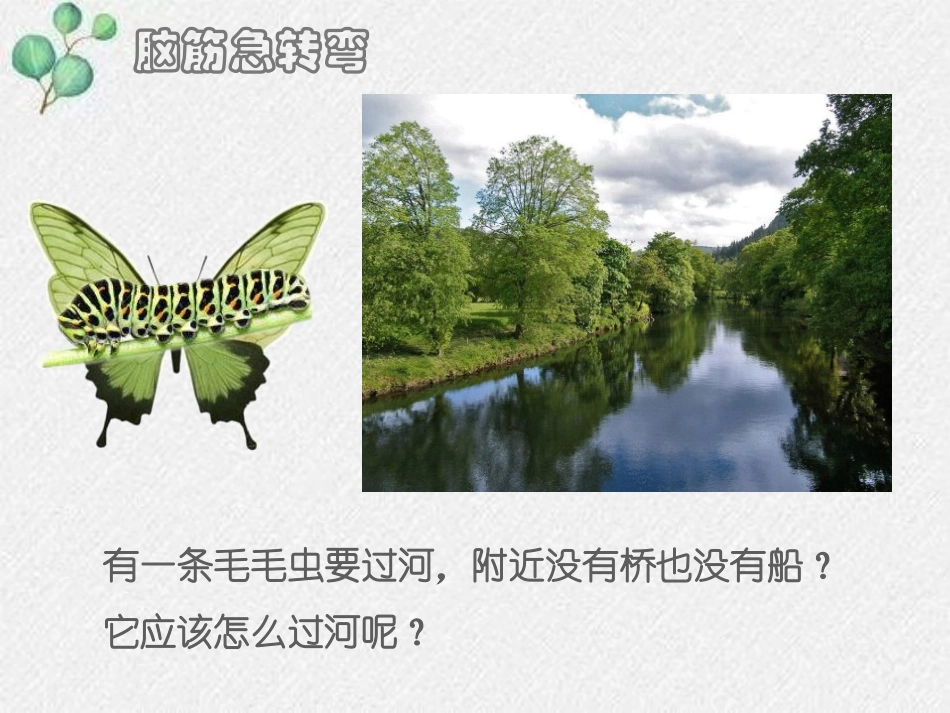 《动物的生殖和发育》PPT教学课件[北师大版八年级生物上册]_第3页