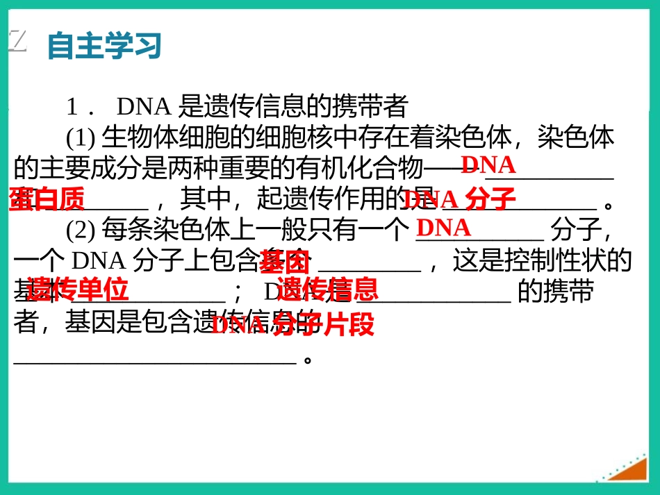 《性状遗传的物质基础》PPT免费课件[北师大版八年级生物]_第3页