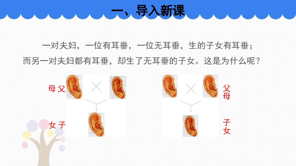 《性状遗传有一定的规律性》PPT免费课件[北师大版八年级生物]_第2页