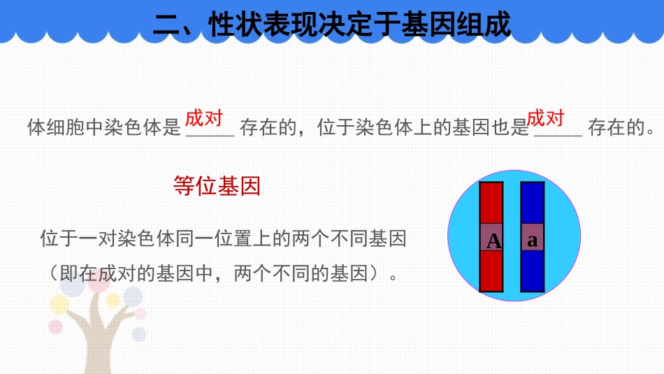 《性状遗传有一定的规律性》PPT免费课件[北师大版八年级生物]_第3页