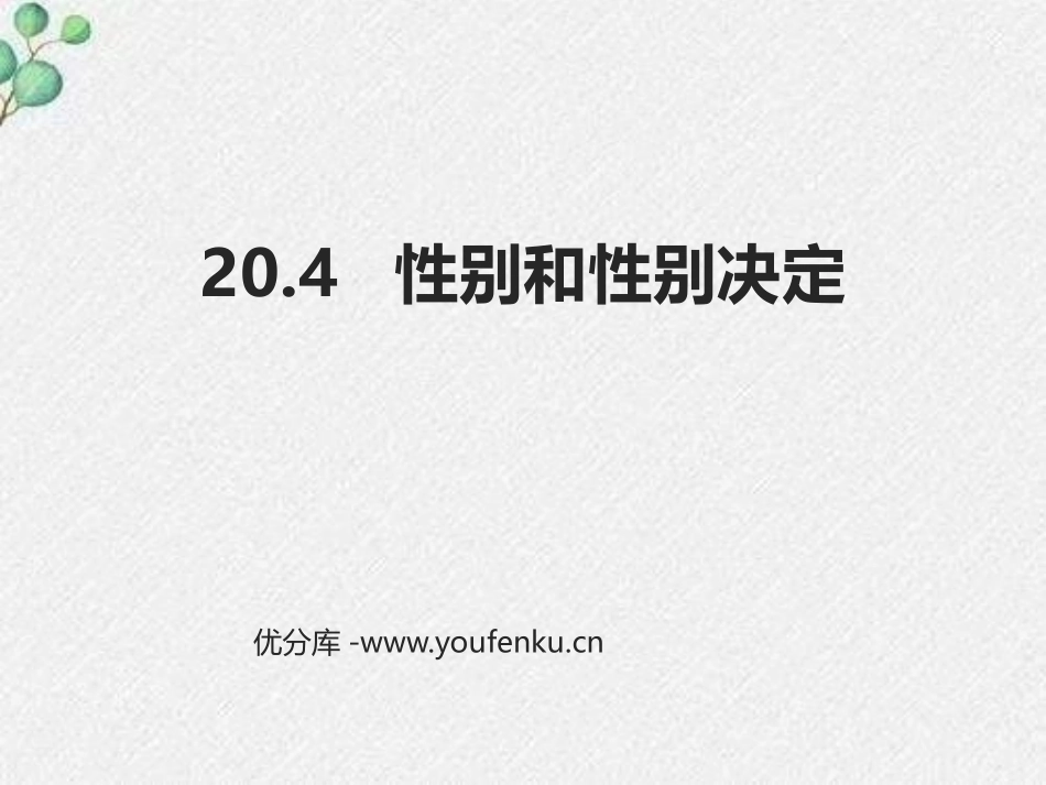 《性别和性别决定》PPT免费课件[北师大版八年级生物上册]_第1页