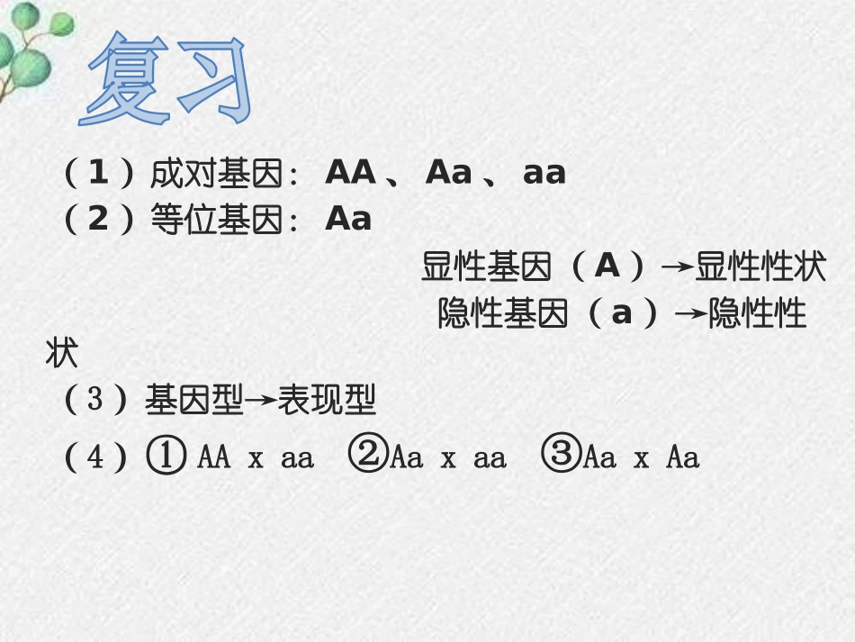 《性别和性别决定》PPT免费课件[北师大版八年级生物上册]_第3页