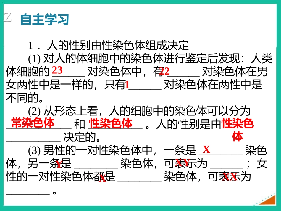 《性别和性别决定》PPT精品课件[北师大版八年级生物上册]_第3页