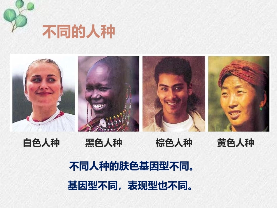 《遗传与环境》PPT免费课件[北师大版八年级生物上册]_第3页