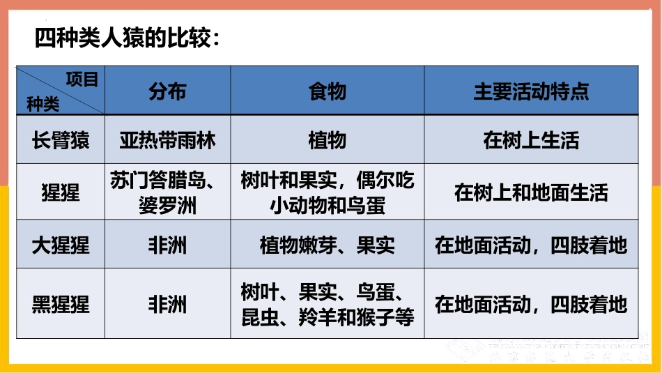 《人类的起源和进化》PPT优质课件[北师大版八年级生物下册]_第3页