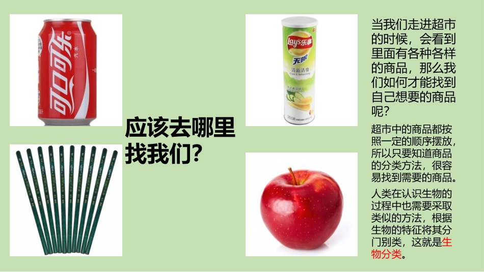 《生物的分类》PPT免费课件[北师大版八年级生物下册]_第2页
