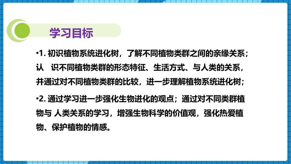 《植物的主要类群》PPT教学课件[北师大版八年级生物下册]_第2页