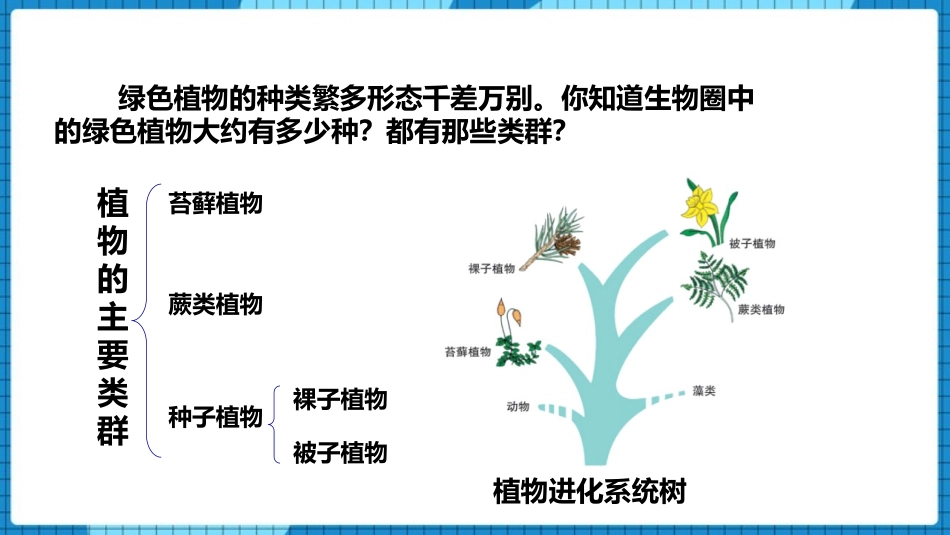 《植物的主要类群》PPT教学课件[北师大版八年级生物下册]_第3页