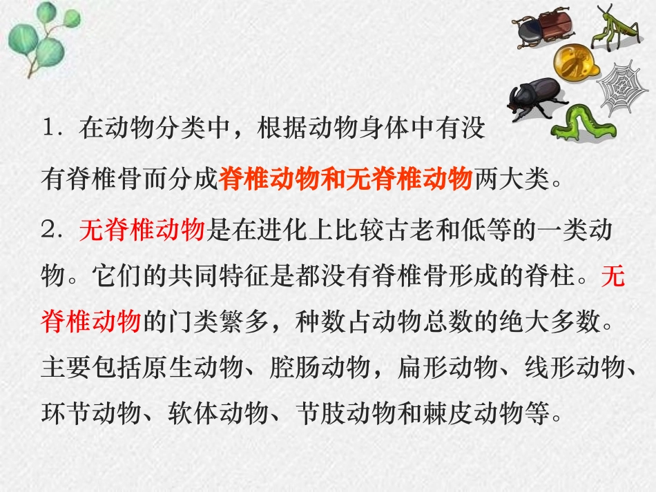 《动物的主要类群》PPT精品课件(第1课时)[北师大版八年级生物]_第3页