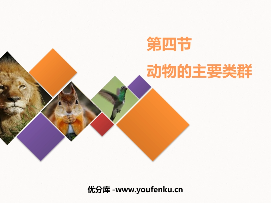 《动物的主要类群》PPT教学课件[北师大版八年级生物下册]_第1页