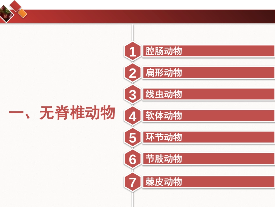 《动物的主要类群》PPT教学课件[北师大版八年级生物下册]_第3页