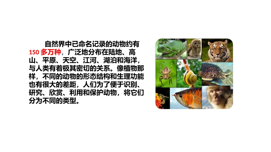 《动物的主要类群》PPT免费课件[北师大版八年级生物下册]_第2页