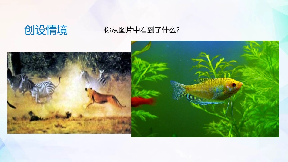 《生物的生存依赖一定的环境》PPT课件[北师大版八年级生物]_第2页