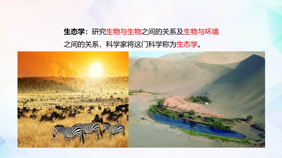《生物的生存依赖一定的环境》PPT课件[北师大版八年级生物]_第3页