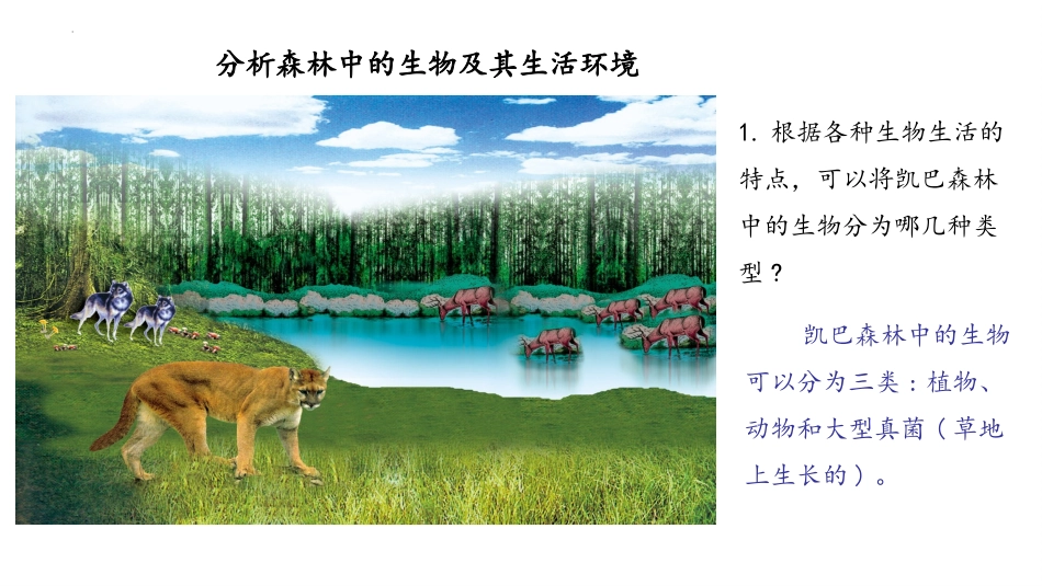 《生态系统概述》PPT优质课件[北师大版八年级生物下册]_第2页