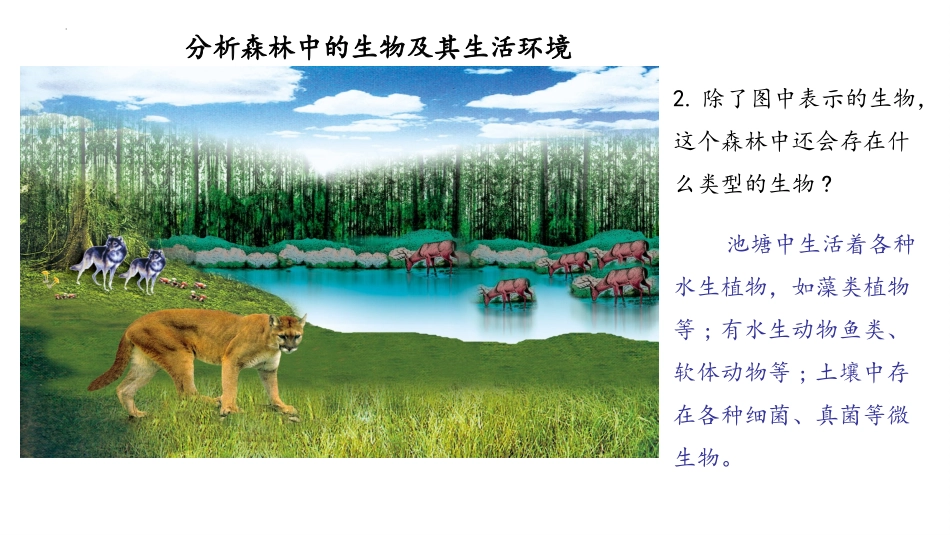 《生态系统概述》PPT优质课件[北师大版八年级生物下册]_第3页