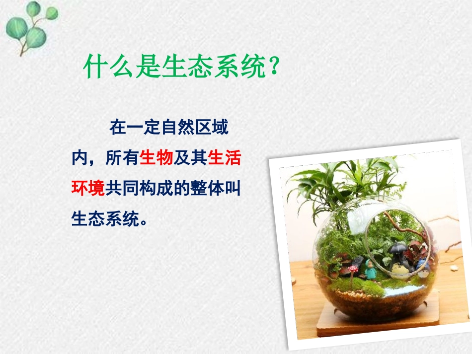 《生态系统概述》PPT优秀课件[北师大版八年级生物下册]_第3页