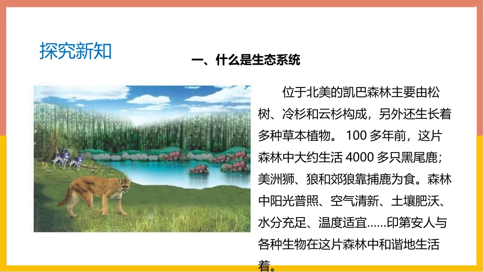 《生态系统概述》PPT课件[北师大版八年级生物下册]_第3页