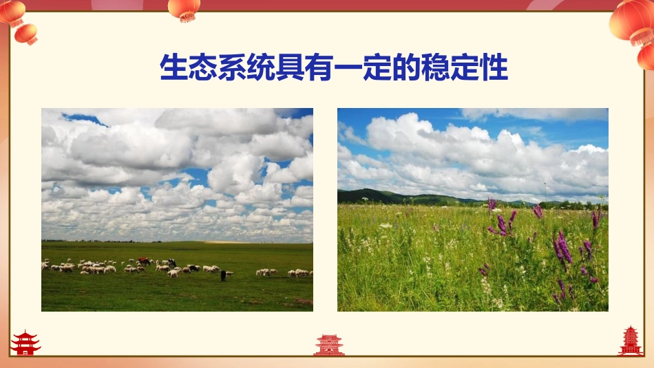 《生态系统的稳定性》PPT优秀课件[北师大版八年级生物下册]_第3页