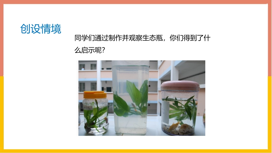 《生态系统的稳定性》PPT精品课件[北师大版八年级生物下册]_第2页