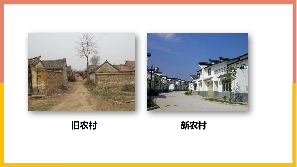 《关注农村环境》PPT课件[北师大版八年级生物下册]_第2页