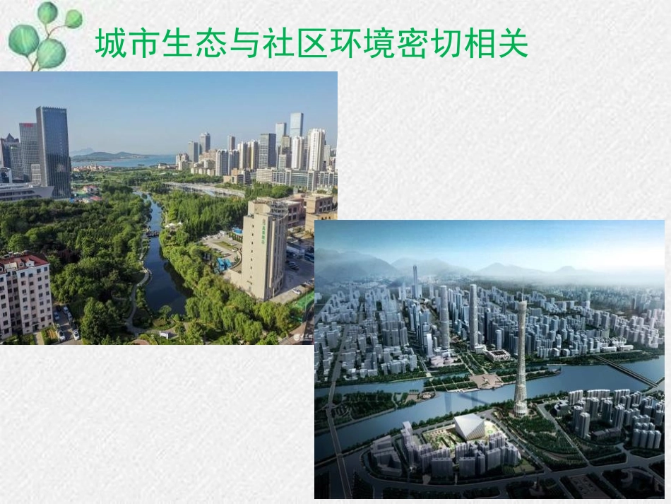 《关注城市环境》PPT课件[北师大版八年级生物下册]_第2页