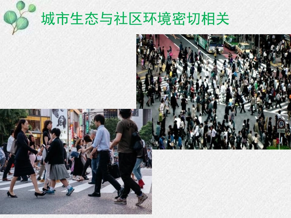 《关注城市环境》PPT课件[北师大版八年级生物下册]_第3页