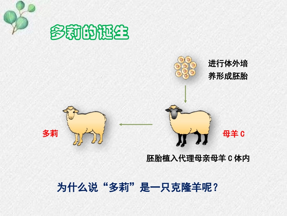 《现代生物技术》PPT课件(第2课时)[北师大版八年级生物]_第3页