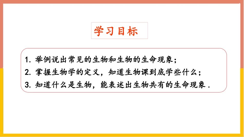 《我们周围的生物》PPT优秀课件[苏教版七年级生物上册]_第2页