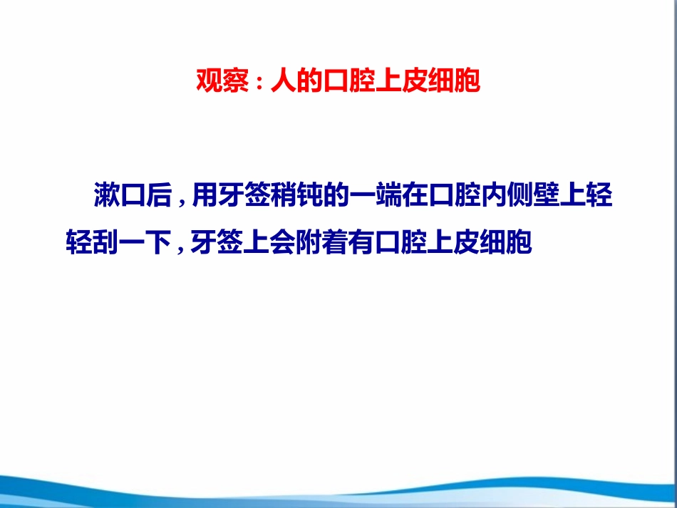 《人和动物细胞的结构与功能》PPT免费课件[苏教版七年级生物]_第3页