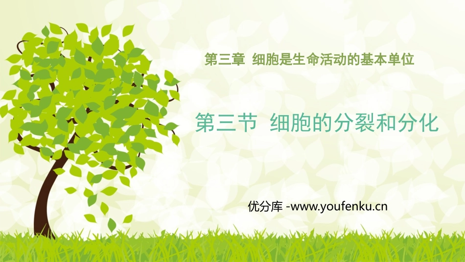 《细胞的分裂与分化》PPT课件[苏教版七年级生物上册]_第1页