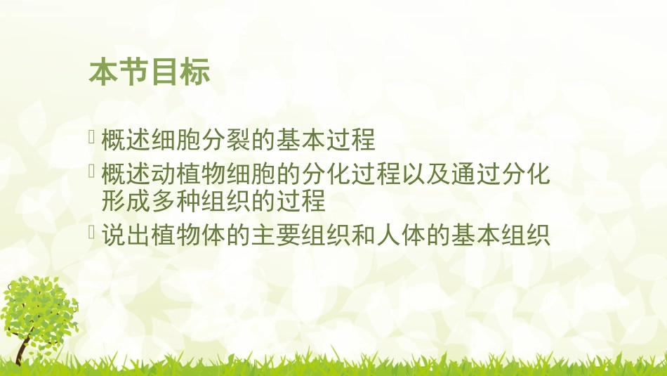 《细胞的分裂与分化》PPT课件[苏教版七年级生物上册]_第2页