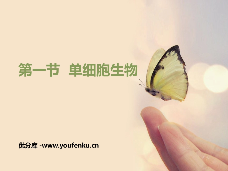 《单细胞生物》PPT优质课件[苏教版七年级生物上册]_第1页