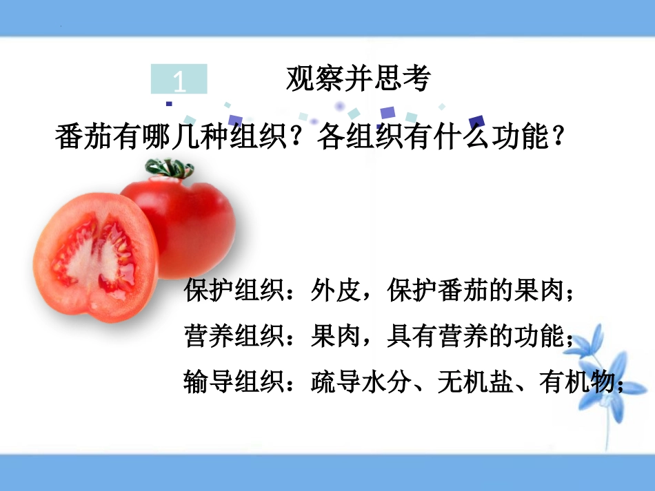 《多细胞生物体的组成》PPT免费课件[苏教版七年级生物上册]_第3页