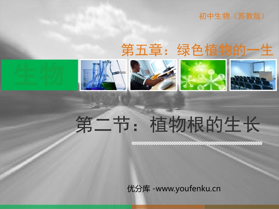 《植物根的生长》PPT精品课件[苏教版七年级生物上册]_第1页