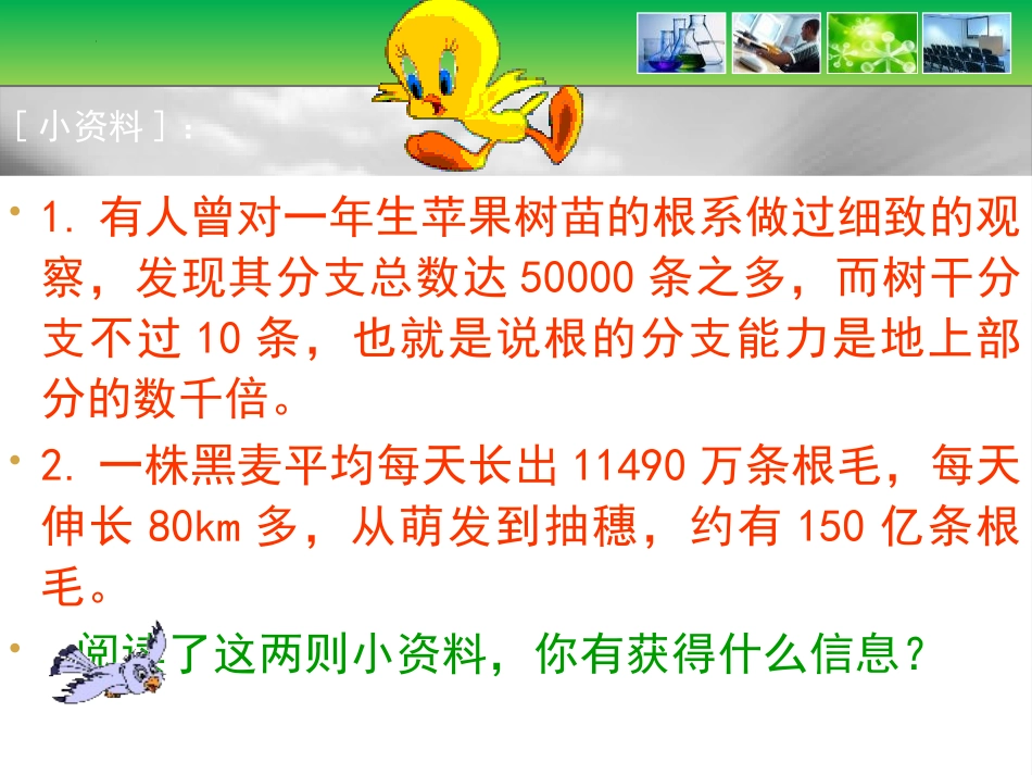 《植物根的生长》PPT精品课件[苏教版七年级生物上册]_第3页