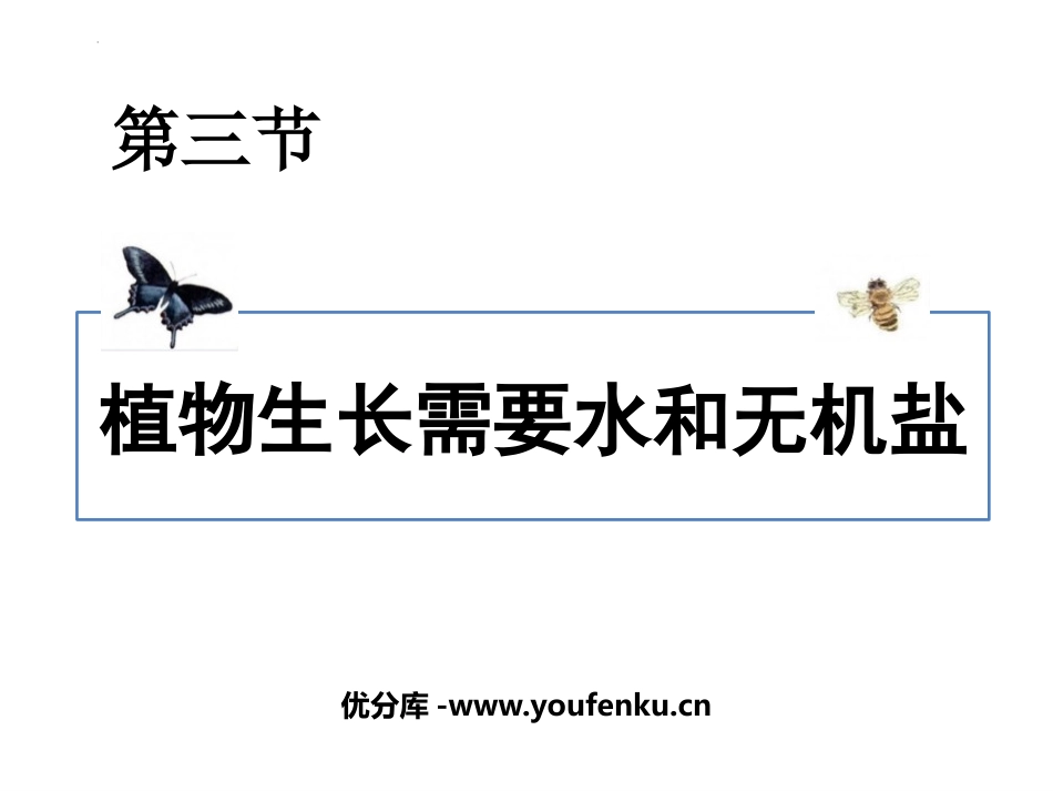 《植物生长需要水和无机盐》PPT教学课件[苏教版七年级生物]_第1页