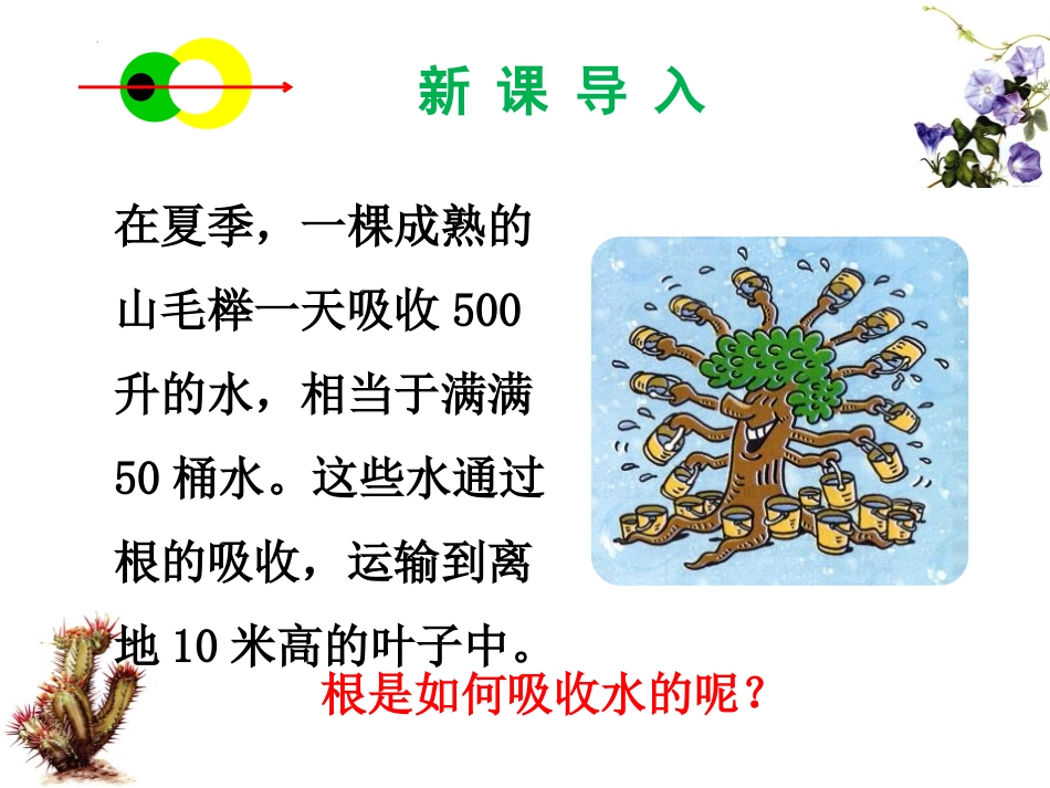《植物生长需要水和无机盐》PPT教学课件[苏教版七年级生物]_第2页