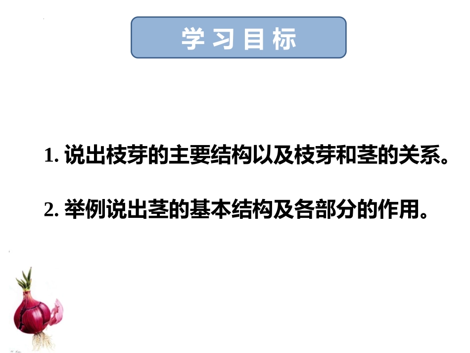 《植物茎的输导功能》PPT免费课件[苏教版七年级生物上册]_第3页